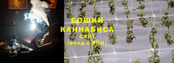 прущие грибы Богданович