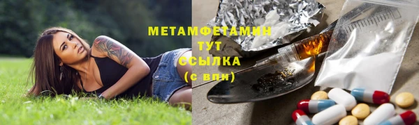 прущие грибы Богданович