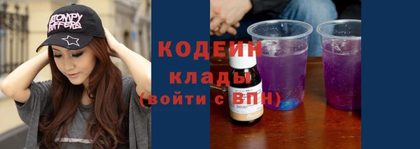 хмурый Богородицк