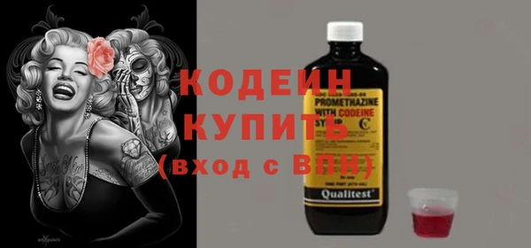 хмурый Богородицк