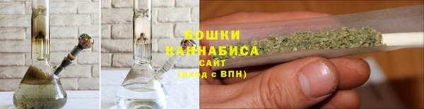 прущие грибы Богданович