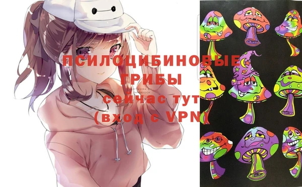 хмурый Богородицк