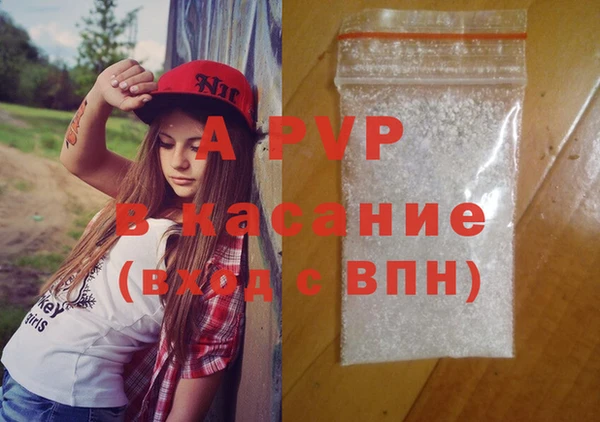 прущие грибы Богданович