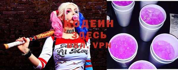 прущие грибы Богданович