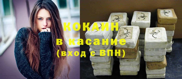 прущие грибы Богданович