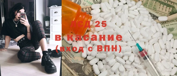 прущие грибы Богданович