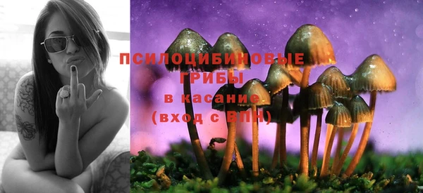 прущие грибы Богданович