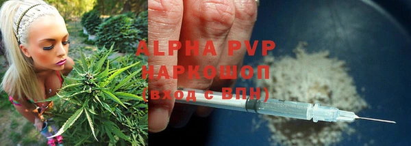 хмурый Богородицк