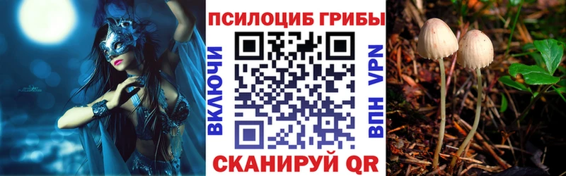 купить наркотики цена  Среднеуральск  KRAKEN вход  Галлюциногенные грибы прущие грибы 